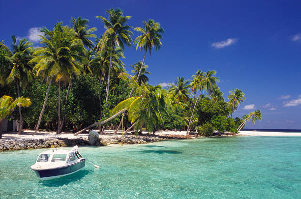 الساحل الشمالي